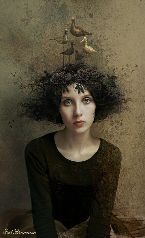 Bird Dreaming by Pat Brennan