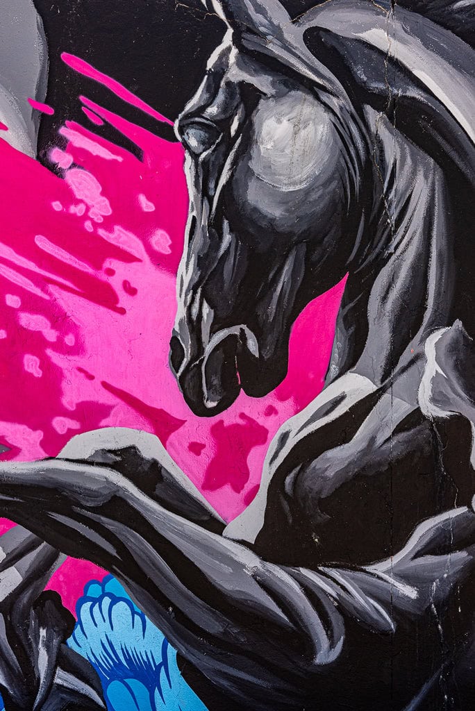 Graffiti art of a black horse with a pink and blue background.