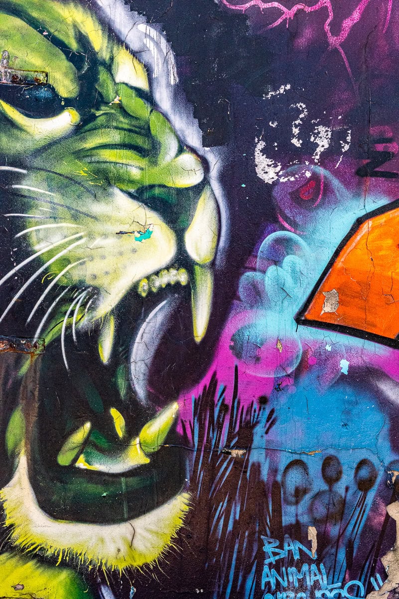 Graffiti of a fierce green animal face with a colorful background.