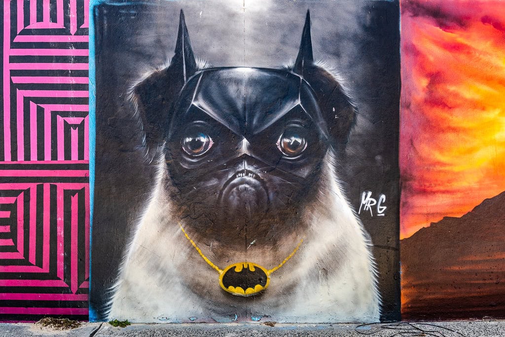 Realistic mural of a pug wearing a Batman mask and necklace.