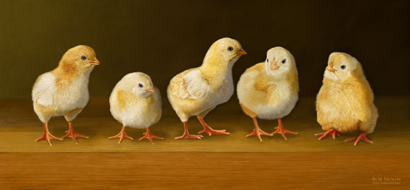 Five Chicks Named Moe, by Bob Nolin. Painted with Photoshop CS5 and a Wacom Intuos 4 tablet.