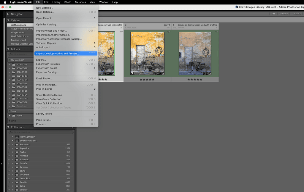 Import Lightroom Presets by choosing the menu item