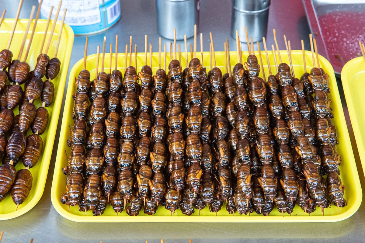 Large worm like insects cooked on a skewer Beijing China food market