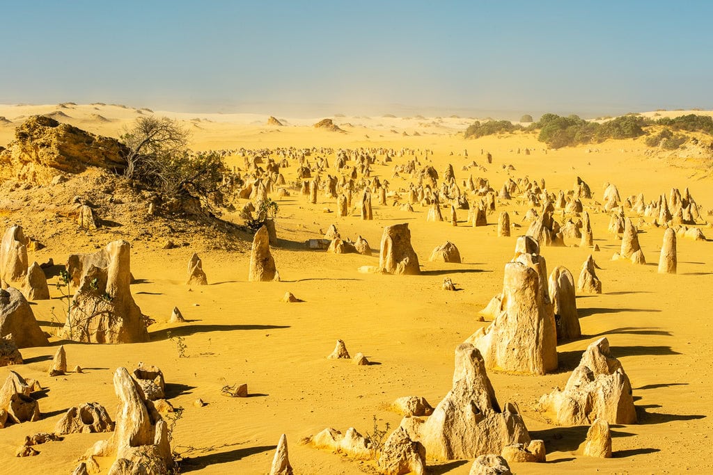 Moonscape of the pinnacles Australia