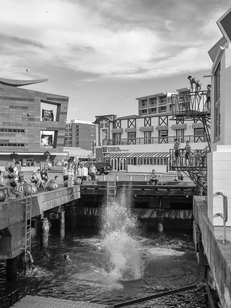 Shooting at f/8 to f/11 captures the dynamic energy at a New Zealand pier, where the entire scene, from the splash in the water to the distant buildings, is in sharp focus—highlighting the sweet spot for street photography.