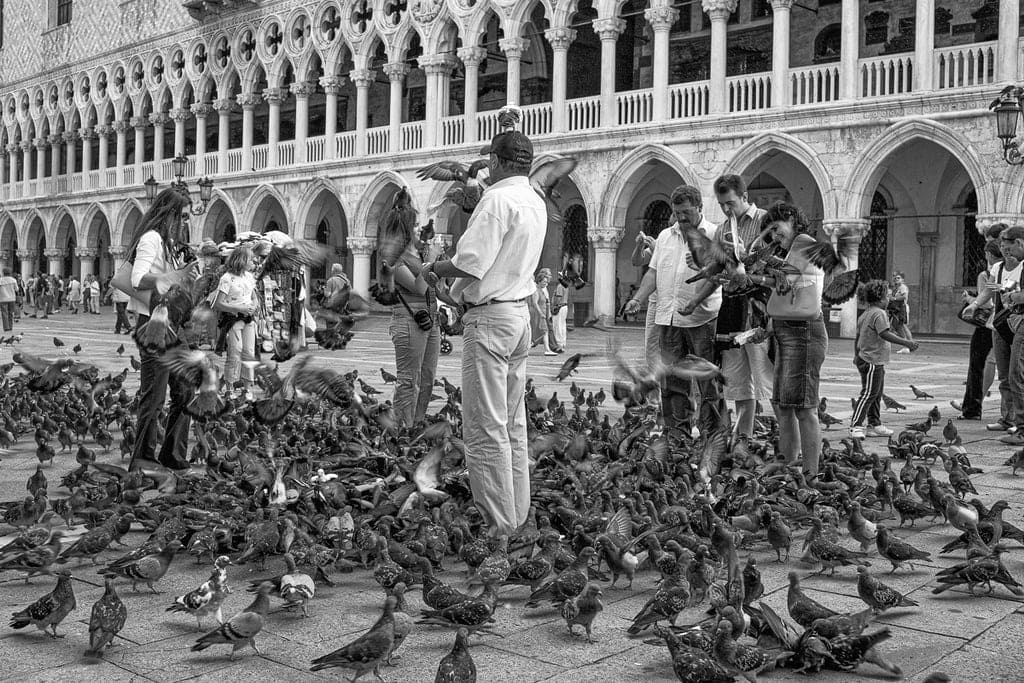 Captured with a narrow aperture in Venice, this image brings every detail into sharp focus, from the ornate architecture to the lively crowd of tourists and pigeons.