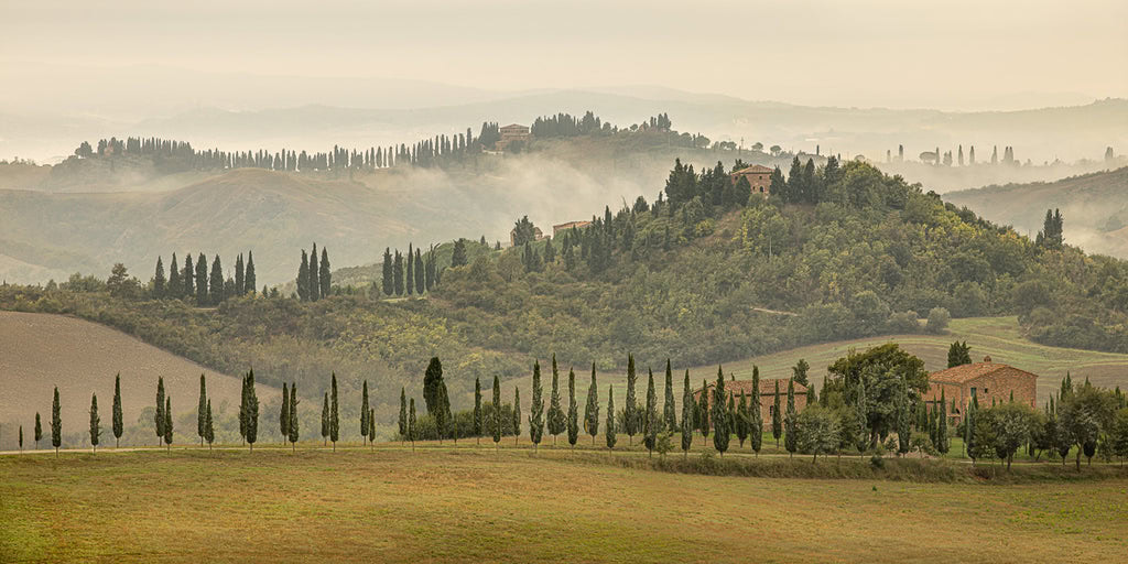 Tuscan Rolling Hills Photo in Fog