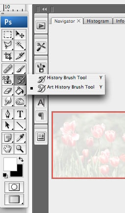 Look for the brush with the curly line thing