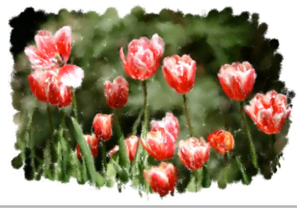 Turn up the opacity on the tracing paper after painting in the flowers