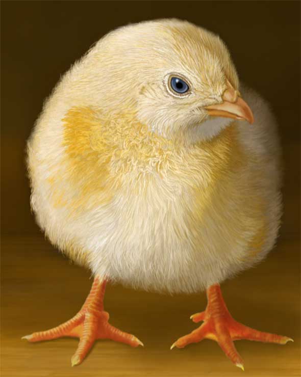 Many hours and brushstrokes later, here's the final painted chick.