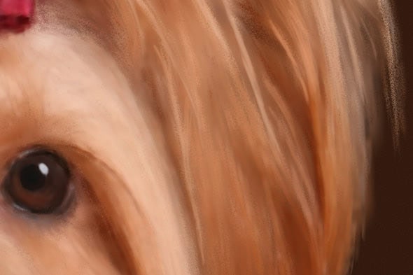 Close-up of the finished painting. Notice how I didn't paint every single hair, but it looks like I did.