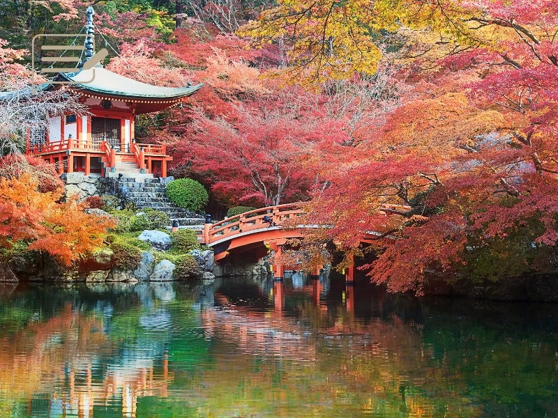 Kyoto’s historic gardens come alive with fall colors, making it a top destination for autumn in Japan.