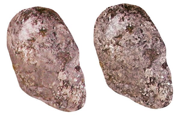 Results of the liquify filter (left) and sponge filter (right)