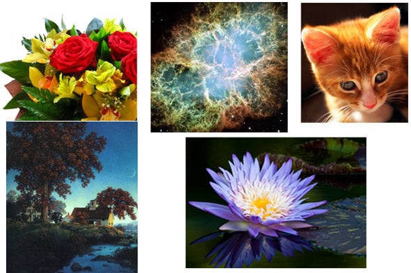 Here are the images I used to create these designs.