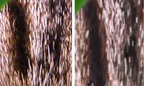 Zoomed in at 100 percent, you can see how the paint (right) is far from exactly the same as the photo. At smaller sizes, however, it looks pretty darn close.