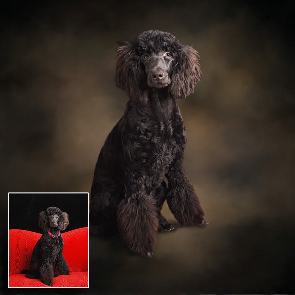 This tutorial shows how to create a classic painted muslin backdrop with Photoshop.