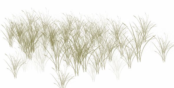 A quick painting with a custom-made Captured Grass variant, based on a brush from Photoshop. You can vary the color, size, and opacity, just as with any brush in Painter. Image brushes like this can save you lots of time.