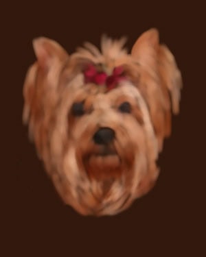 Here's what the painting looks like after the Digital Airbrush step.