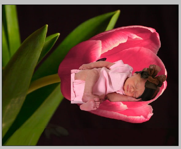 After first adding the baby to the flower image.
