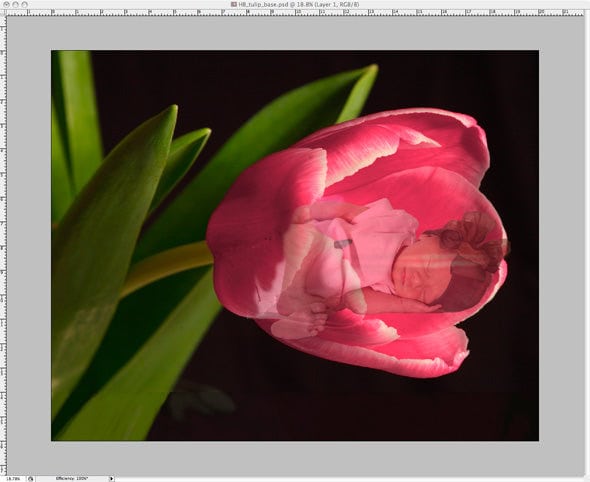 Lower the Baby layer opacity so you can see where to erase.