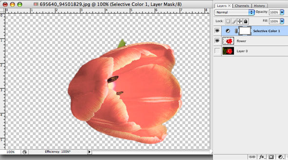 Adjust the sliders as shown to remove the yellow, creating a pale pink tulip.