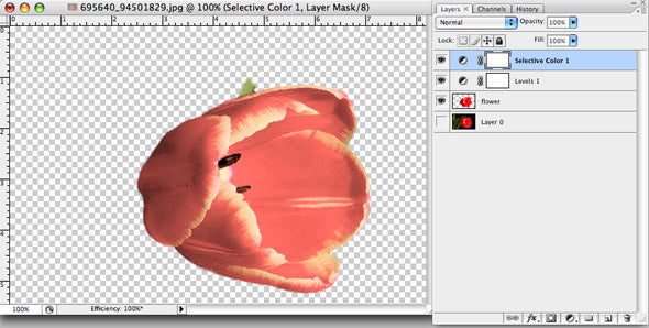 The Levels adjustment layer is added under the Selective Color layer.