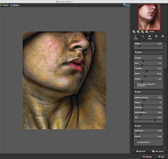 First, I use Topaz Adjust to begin the texturizing. This adds a lot of detail.