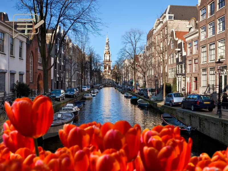 Springtime in Amsterdam isn’t complete without vibrant tulips lining the canals—a sight that attracts visitors from all over the world.