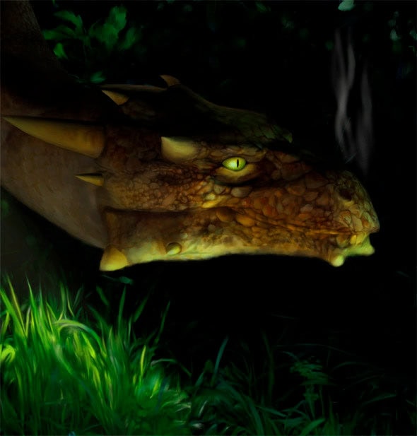 Close-up of the dragon and sunlit grass