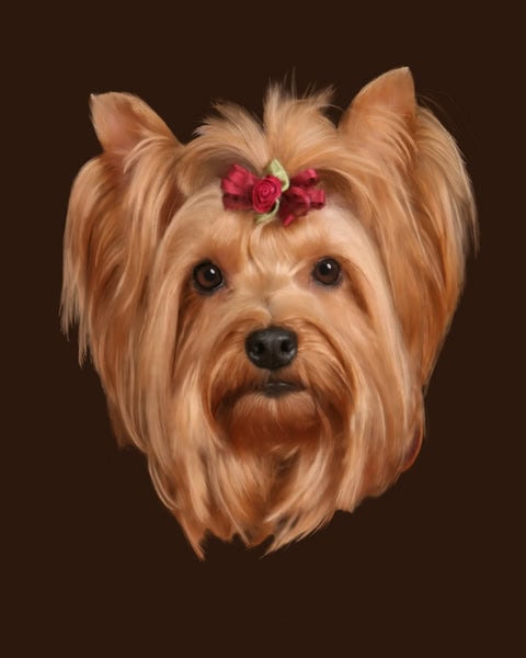 Finished pastel portrait of Yorkshire Terrier (Yorkie). Based on photograph by Dennis Gillette, Best Friends Pet Photography, Emmaus, PA.